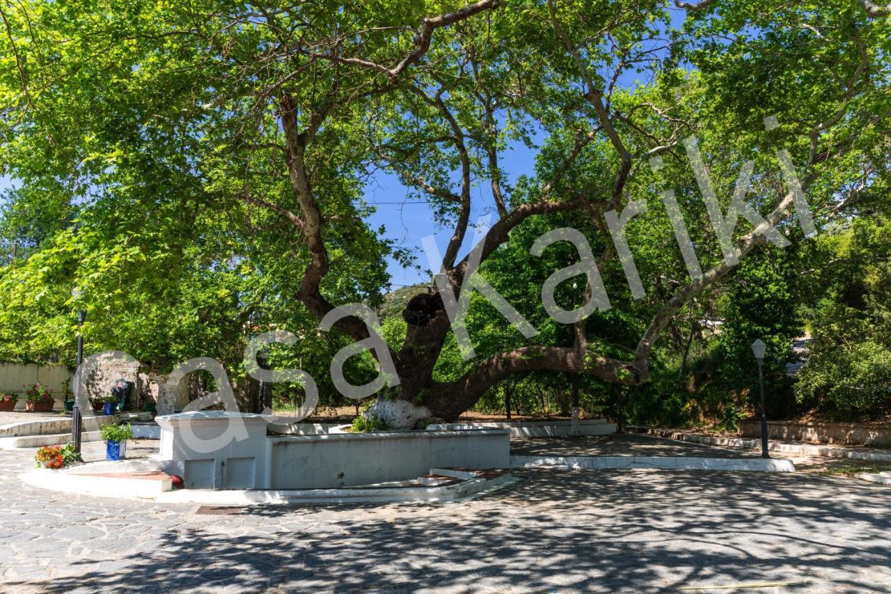Вілла Casa Kariki - Traditional House In Psinthos Екстер'єр фото